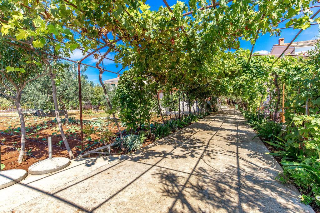Apartments Ivan Lun  Εξωτερικό φωτογραφία