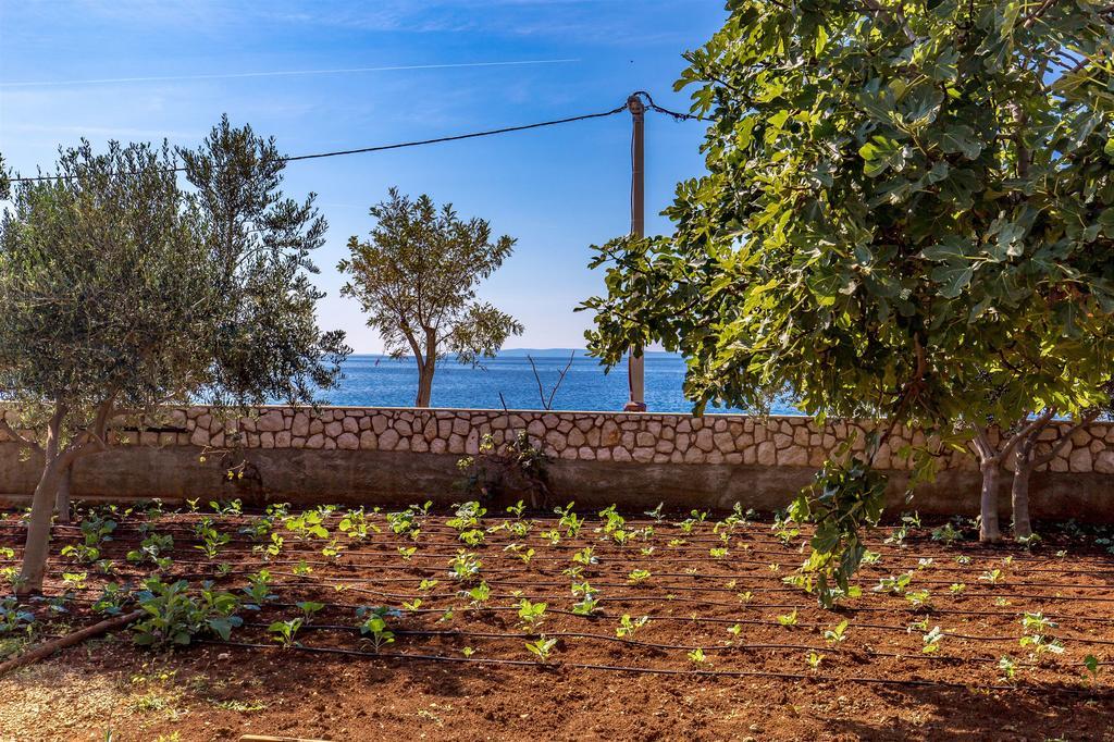 Apartments Ivan Lun  Εξωτερικό φωτογραφία